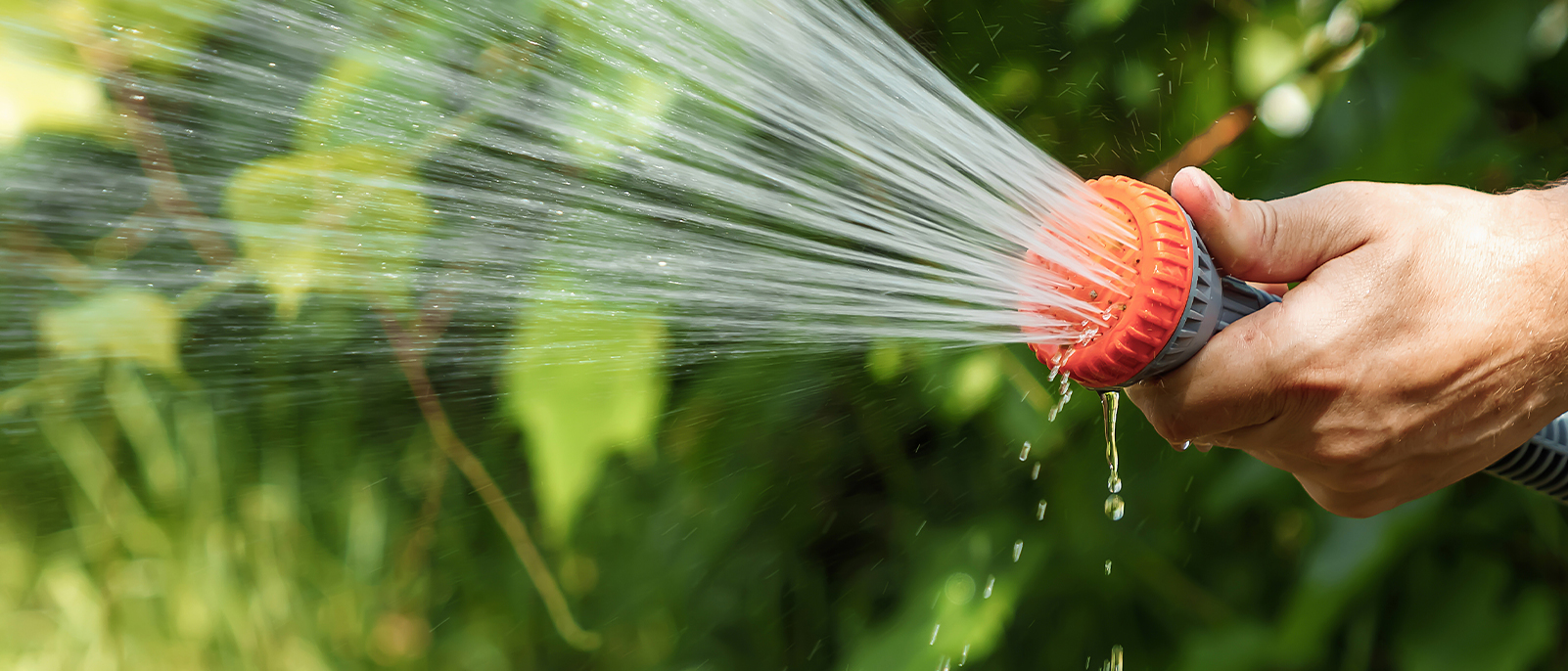 Regenwater opvangen en hergebruiken voor de tuin