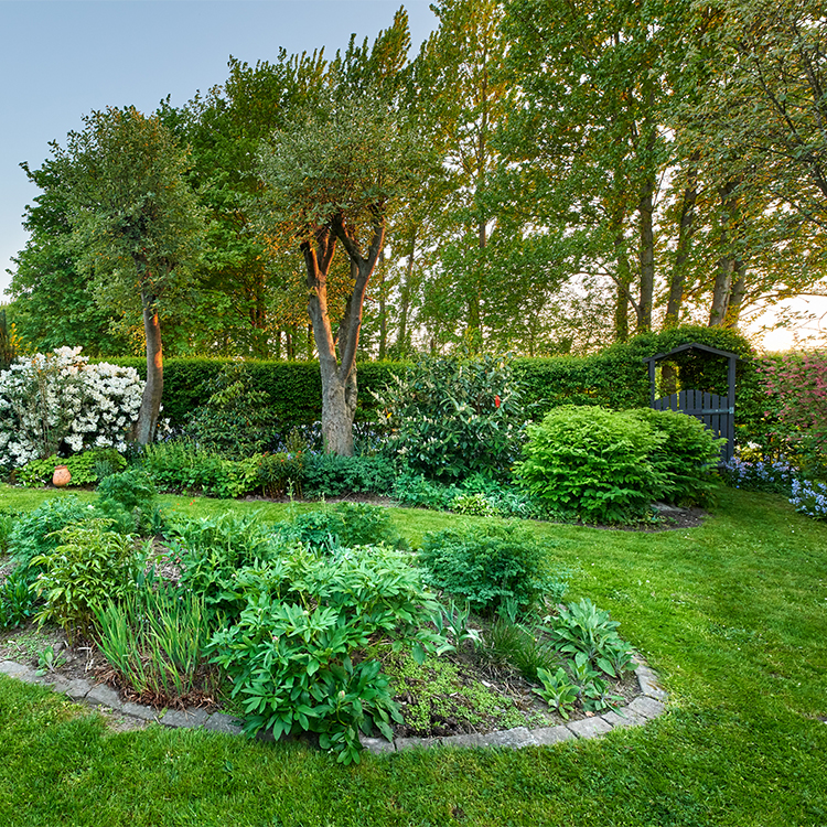 Recup Tuinpakket Bovengronds met Divertron met pomp Save the Rain